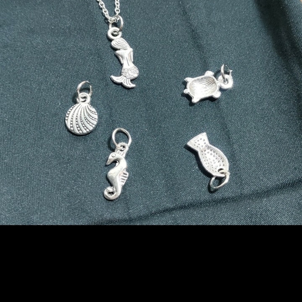 NEW Silver Aquatic Charm Necklace Set - Picture 5 of 9